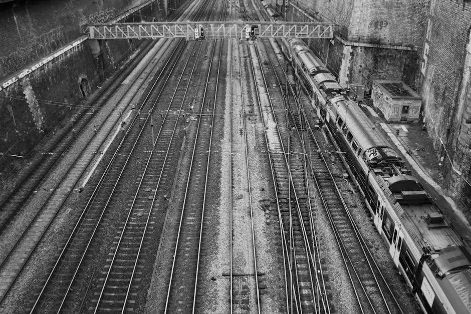 El valor de la innovación en industrias tradicionales.